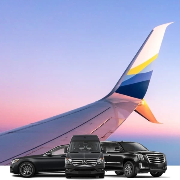 black luxury fleet parked under an airplane wing
